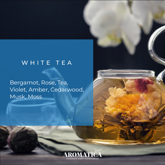 White Tea