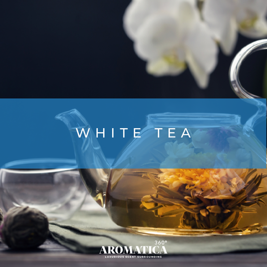 White Tea
