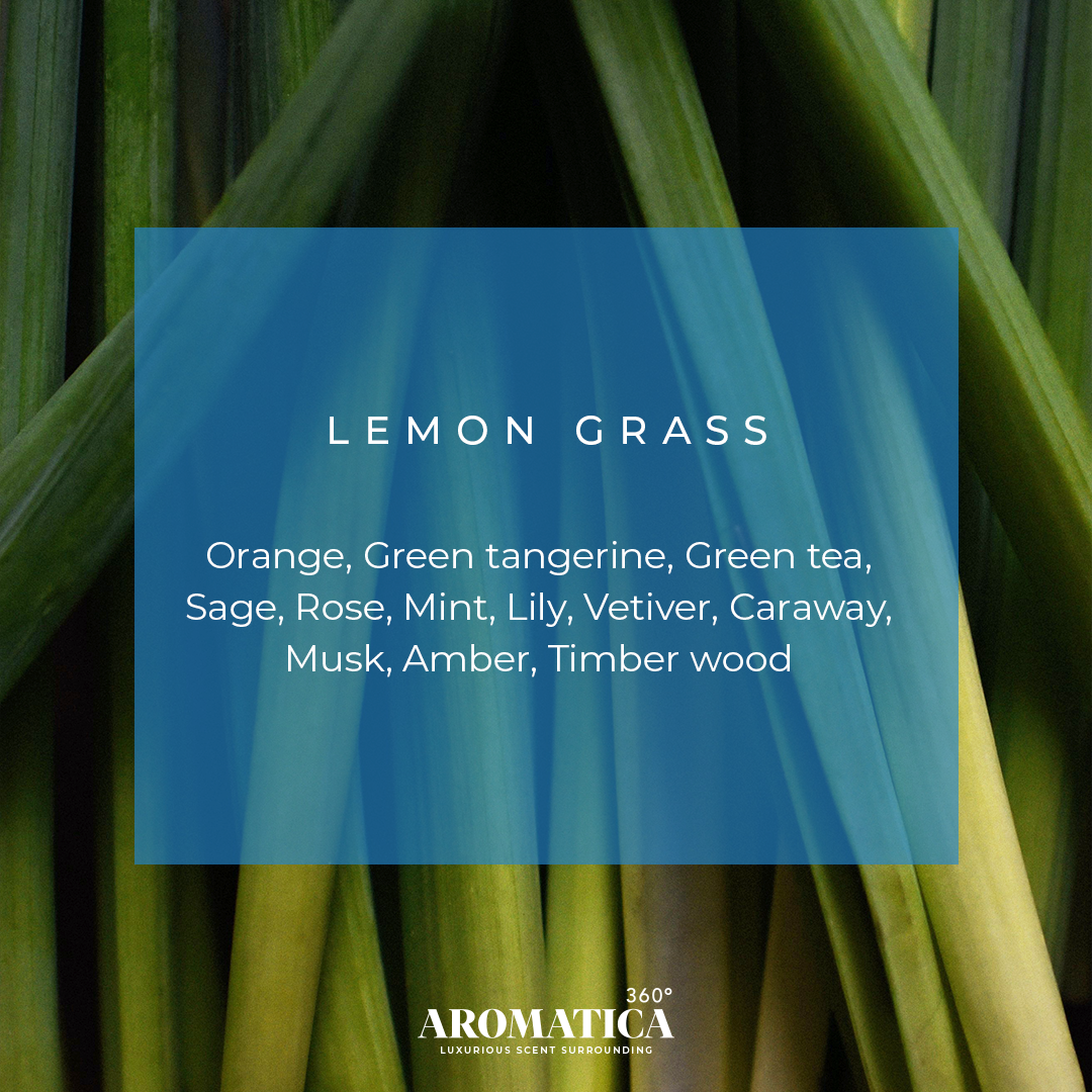 Lemon Grass