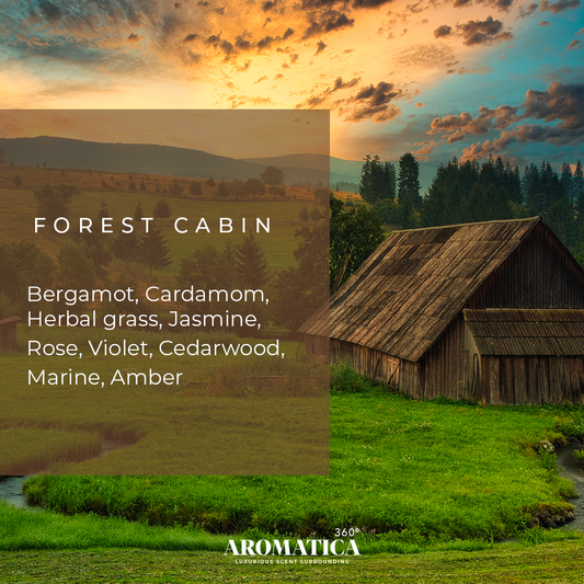 Forest Cabin