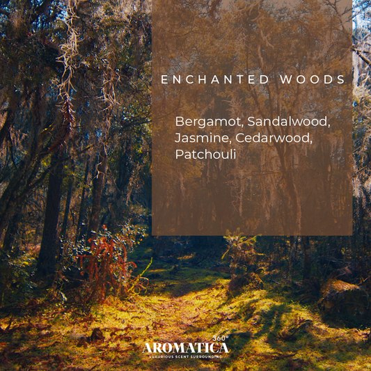 Enchanted Woods