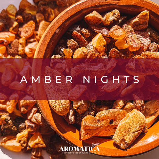 Amber Nights