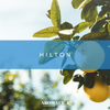 Hilton