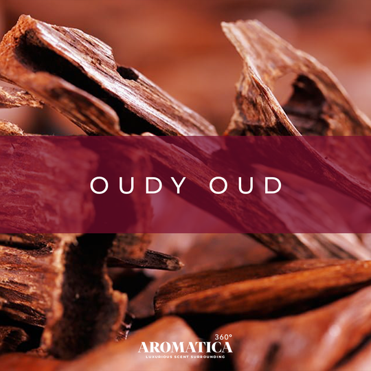 Oudy Oud