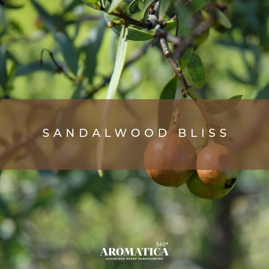 Sandalwood Bliss