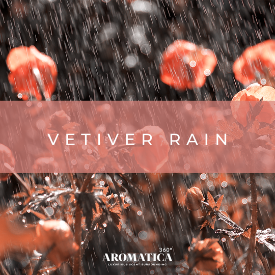 Vetiver Rain