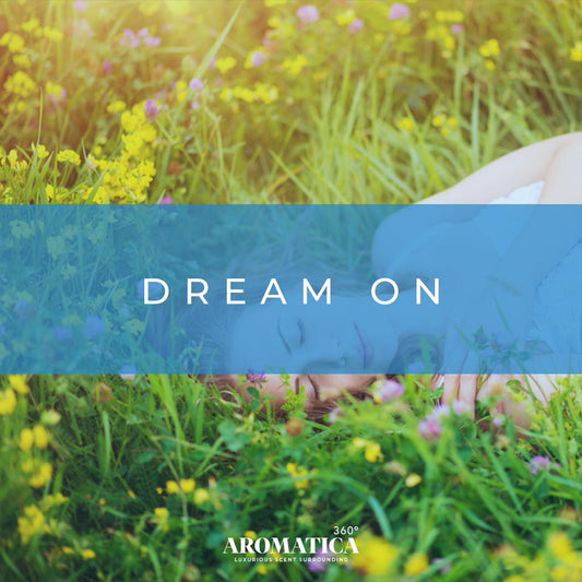Dream On