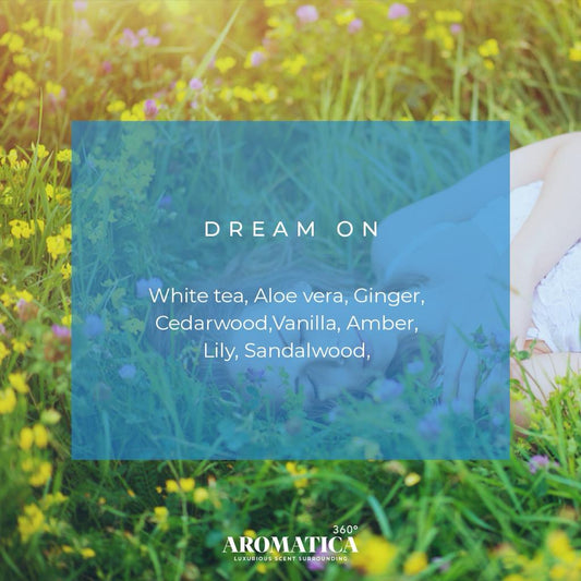 Dream On