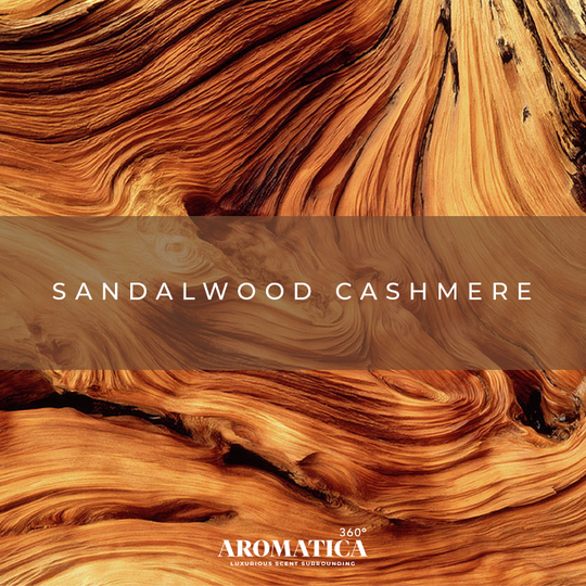 Sandalwood Cashmere