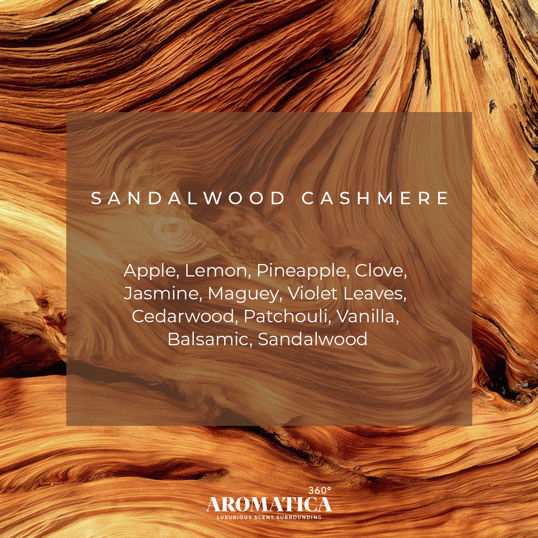 Sandalwood Cashmere