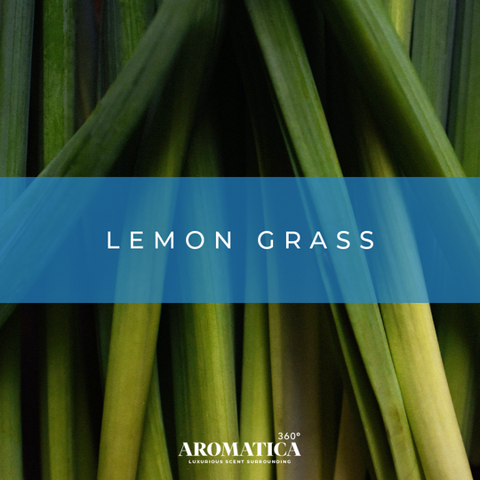 Lemon Grass